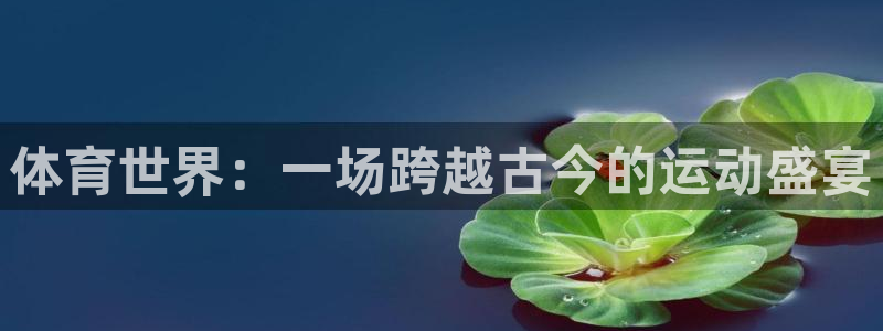 天津绿茵体育公司：体育世界：一场跨越古今的运动盛宴
