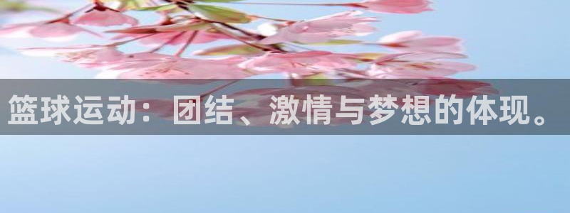 绿茵体育lyzb官网入口：篮球运动：团结、激情与梦想的体现。