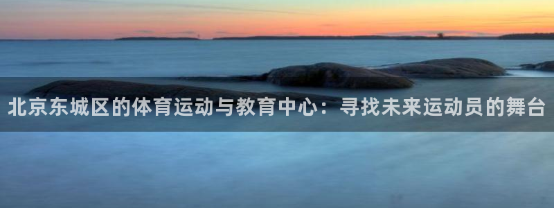 绿茵足球直播在线观看：北京东城区的体育运动与教育中心：寻找未来运动员的舞台