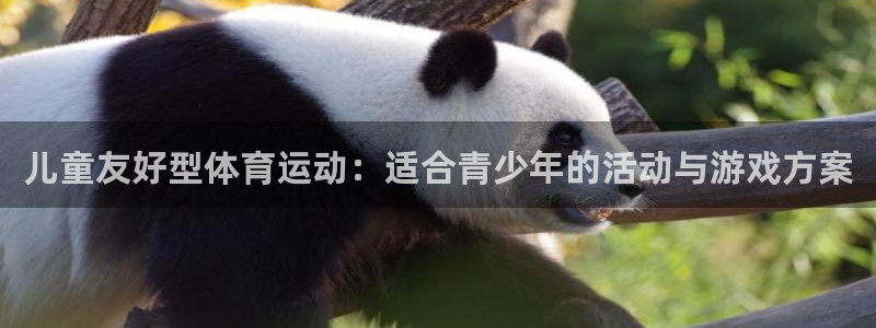 绿茵体育lyzb官网入口：儿童友好型体育运动：适合青少年的活动与游戏方案