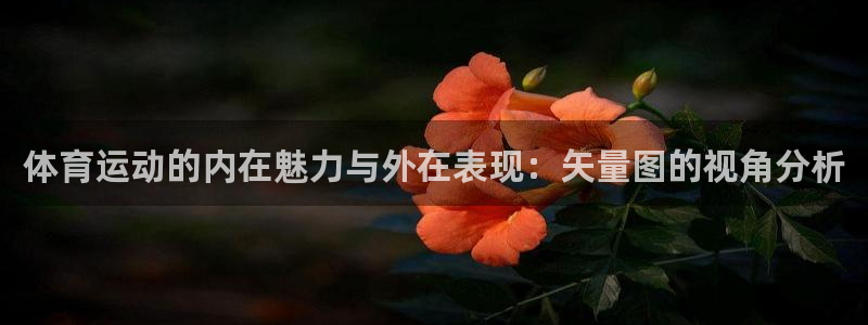 绿茵体育直播cBA：体育运动的内在魅力与外在表现：矢量图的视角分析