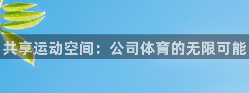 绿茵体育nba：共享运动空间：公司体育的无限可能